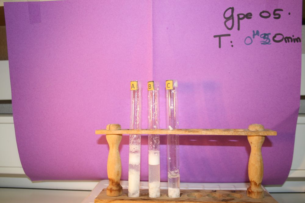 gal/LES_CINQUIEMES/ACTIVITE DIGESTION IN VITRO/Groupe_05/Groupe05_T_00h50min/Groupe05_T_00h_50min_23.JPG